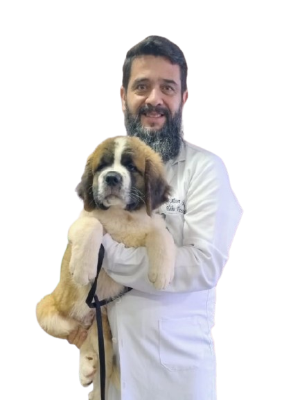 Serviços especiais para pets